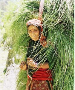 https://www.bolpahadi.in/2021/08/uttarakhand-nature-cinematographer-dr-manoj-rangad.html